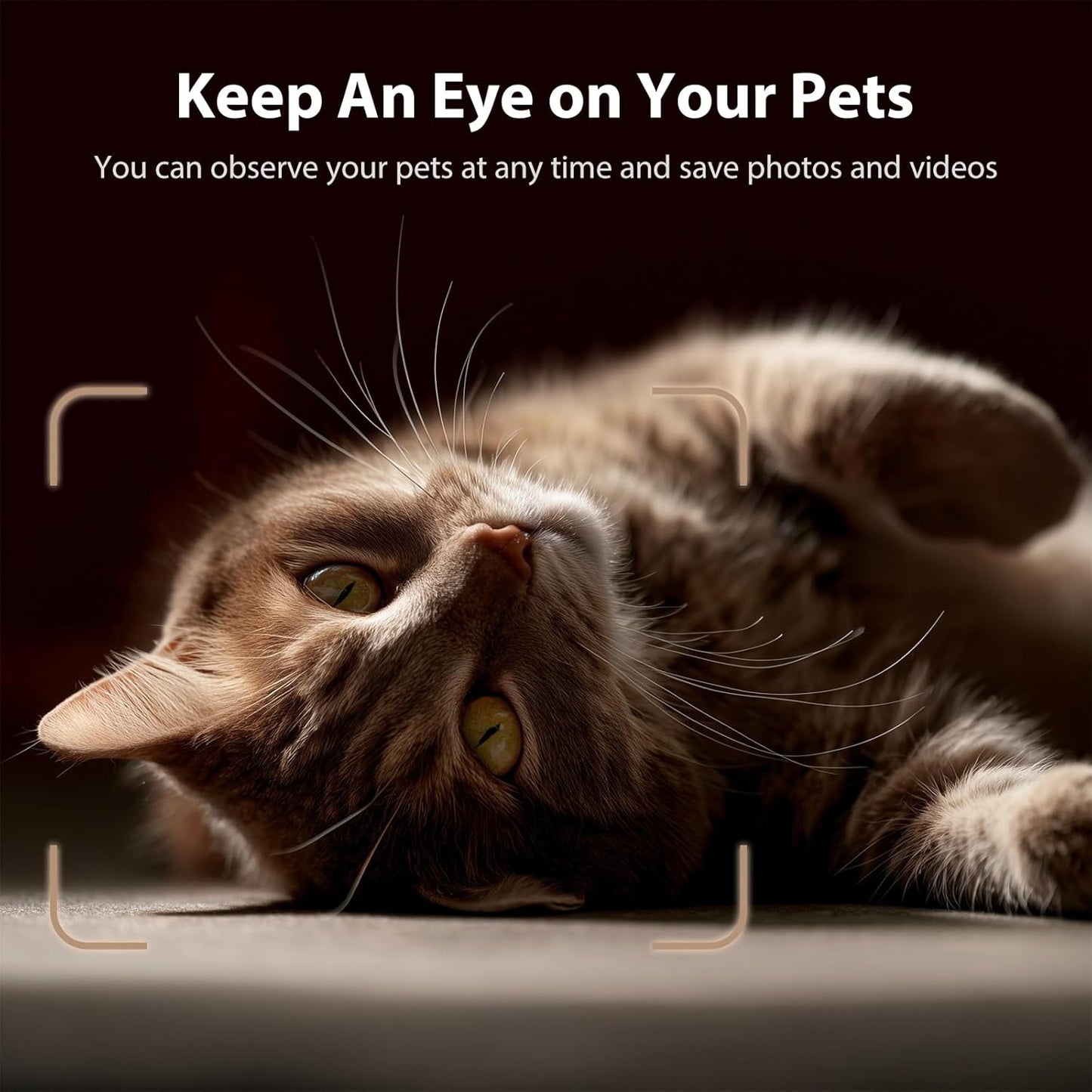 Automatic Cat Feeder with Camera, 6-Pack Pet Food Desiccant Bags